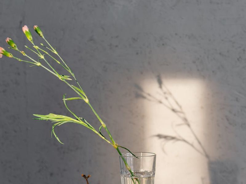 Minimalist and clean space for yoga practice with natural light.